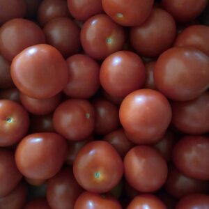 Tomatoes