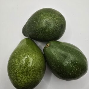 Avocado Ugandan
