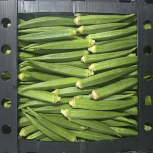 Fresh Okra