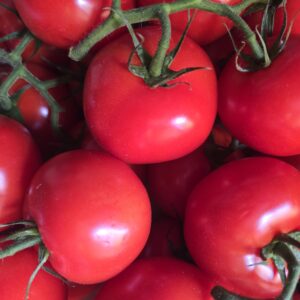 vine tomatoes