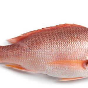 Red Fish